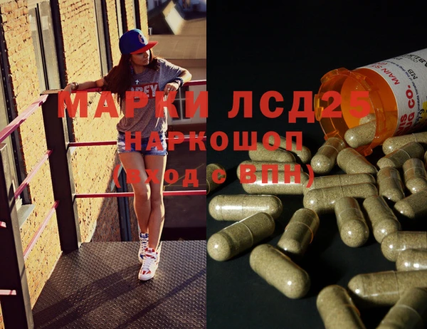стаф Баксан