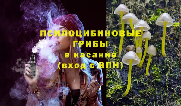 2c-b Балахна