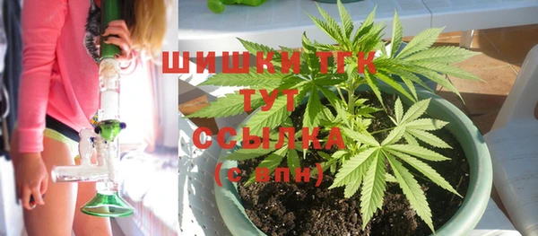стаф Баксан