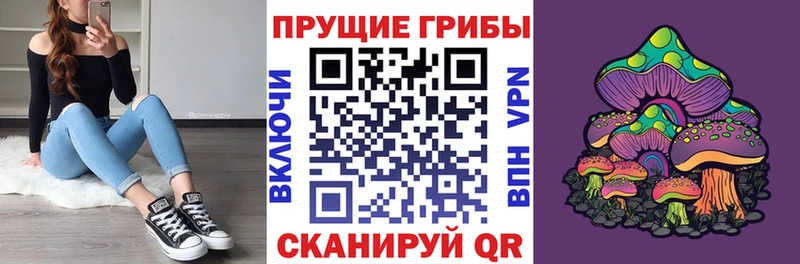 Псилоцибиновые грибы прущие грибы  darknet клад  Вязники 